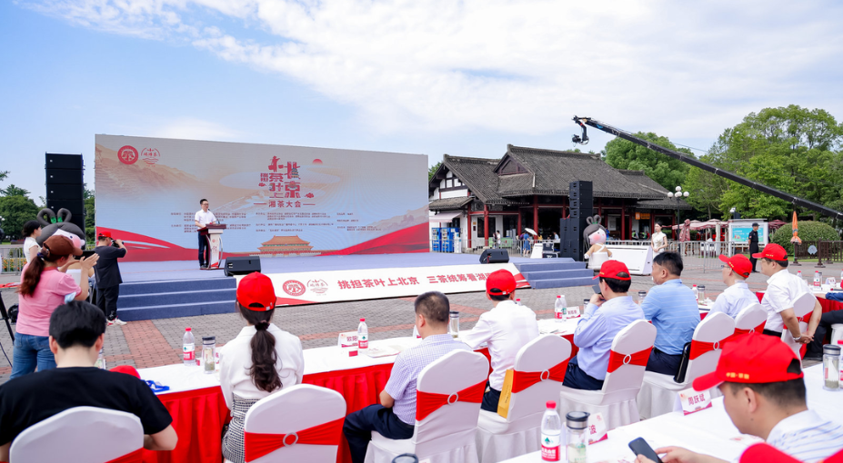 挑担茶叶上北京”湘茶大会在长沙启动