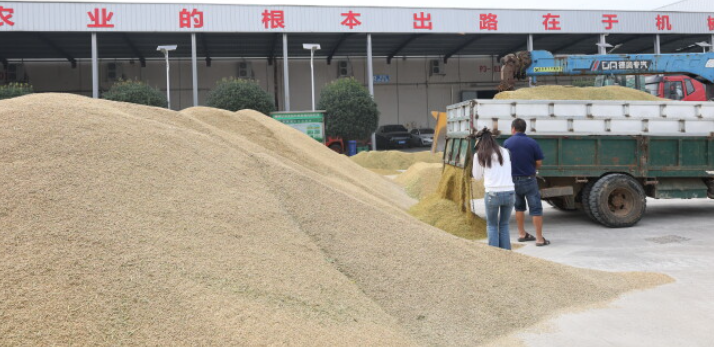 湖南早稻收购全面启动,预约收购全省推广